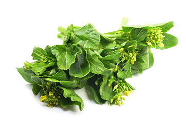 Image showing Bunch of floral choy sum green vegetable