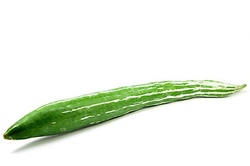 Image showing Snake gourd isolated