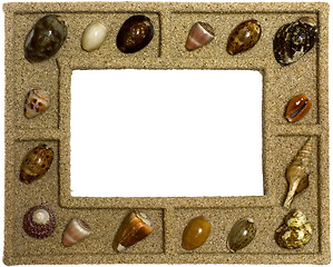 Image showing Seashells frame

