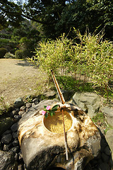 Image showing Jo-an Tea Ceremony House in Inuyama, Japan