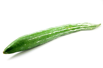 Image showing Snake gourd isolated