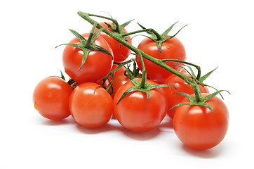 Image showing Red cherry tomato