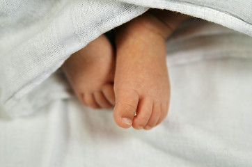 Image showing Cute baby feet