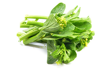 Image showing Bunch of floral choy sum green vegetable