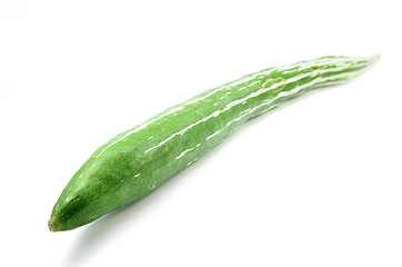 Image showing Snake gourd isolated 