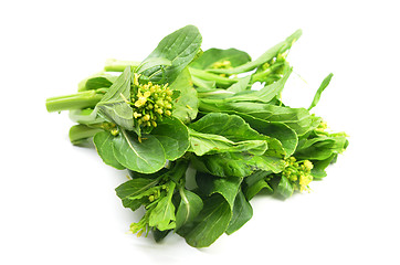 Image showing Bunch of floral choy sum green vegetable