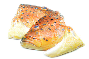 Image showing Grouper fish head on white background