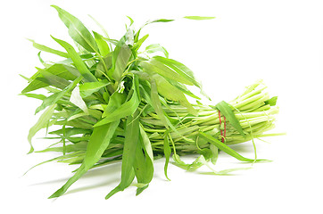 Image showing Water spinach or morning glory