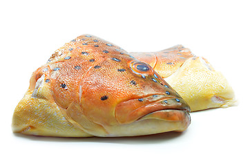 Image showing Grouper fish head on white background