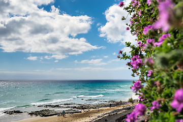 Image showing Beach Fuerteventura