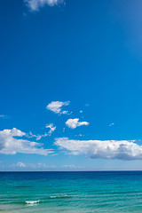 Image showing Beach Fuerteventura