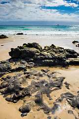 Image showing Beach Fuerteventura