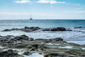 Image showing Beach Fuerteventura