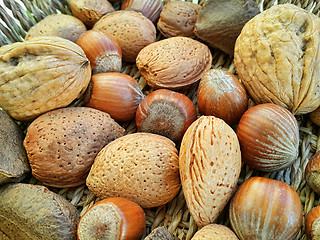 Image showing Mix of different types nuts