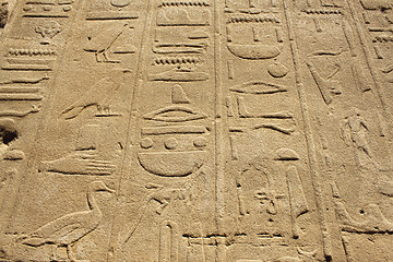 Image showing Ancient stone wall with Egyptian hieroglyphs