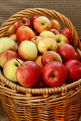 Image showing Bright tasty ripe apples in a basket