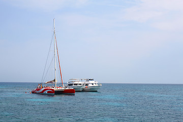 Image showing White boats, catamaran and floating people in the Red sea, Egypt