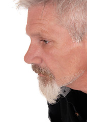 Image showing Close up portrait of a gray haired man