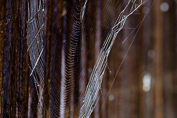 Image showing Spiderweb in defensive corridor in Noerdlingen