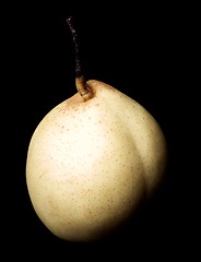 Image showing Ripe Nashi Pear
