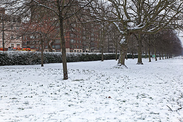 Image showing Snow Hyde Park