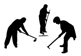 Image showing Agricultural farmers working in the field with hoe and rake