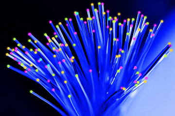 Image showing Fiber optical network cable close up