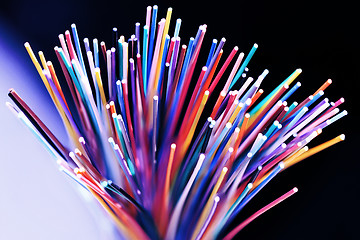 Image showing Fiber optical network cable close up