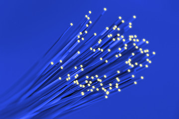 Image showing Fiber optical network cable close up