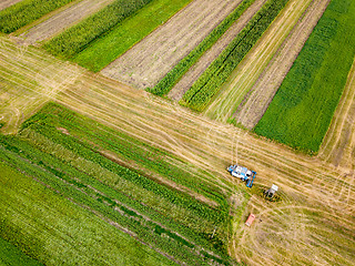 Image showing Aerial view frome a drone of combine plowing the ground after harvesting on the field in the autumn time.