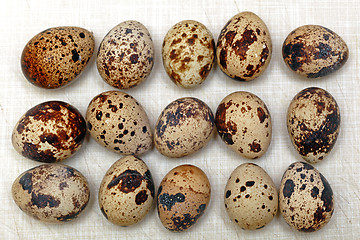 Image showing Organic Quail Eggs