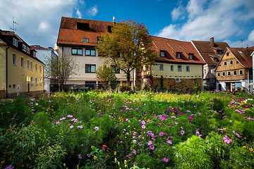 Image showing Flowers on a meadow in Aalen