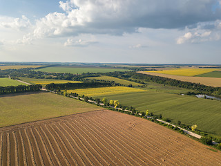 Image showing Summer countryside landscape with agricultural fields with organic crops and after harvesting against blue cloudy sky. Aerial view from drone.