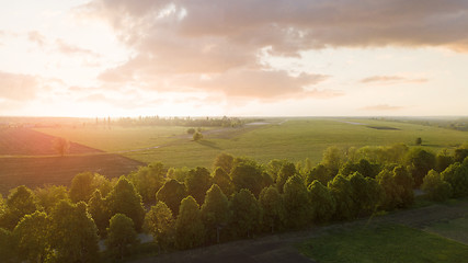 Image showing Aerial view from the drone, a bird\'s eye view of abstract geometric forms of abandoned runway, forests and agricultural fields in the summer evening at sunset.