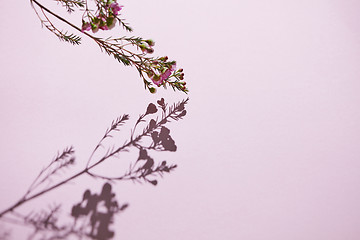 Image showing Beautiful floral composition with a branch of pink flowers on a 