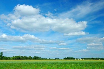 Image showing Summer Landscape