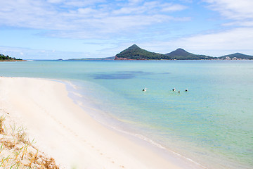 Image showing Pelicans swimming at Port Stephens scenic landscape