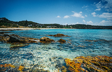 Image showing Seal Rocks Australia