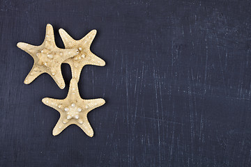 Image showing Top view of three starfish on black background.