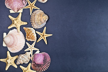 Image showing Top view of shells and starfish group on black background. 