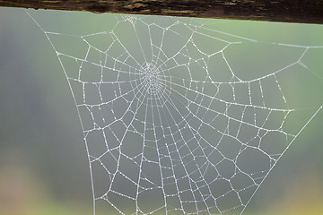 Image showing Spiderweb Garmisch-Partenkirchen in autumn