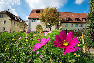 Image showing Flowers on a meadow in Aalen