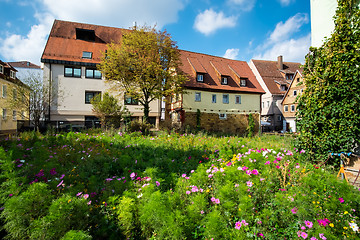 Image showing Flowers on a meadow in Aalen