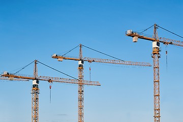 Image showing Tall Construction Cranes