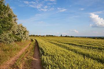 Image showing Green Field with Trees