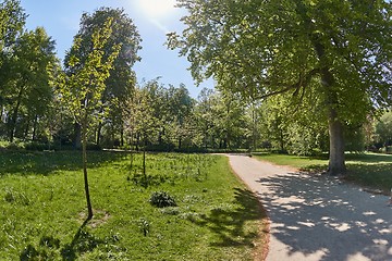 Image showing Park with line of trees