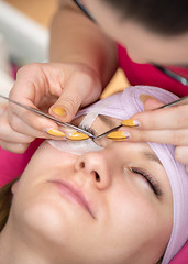 Image showing Eyelash extension in Beauty salon