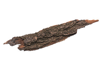 Image showing Tree bark on white