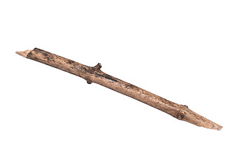 Image showing Dry tree branch on white