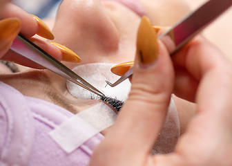 Image showing Eyelash extension in Beauty salon